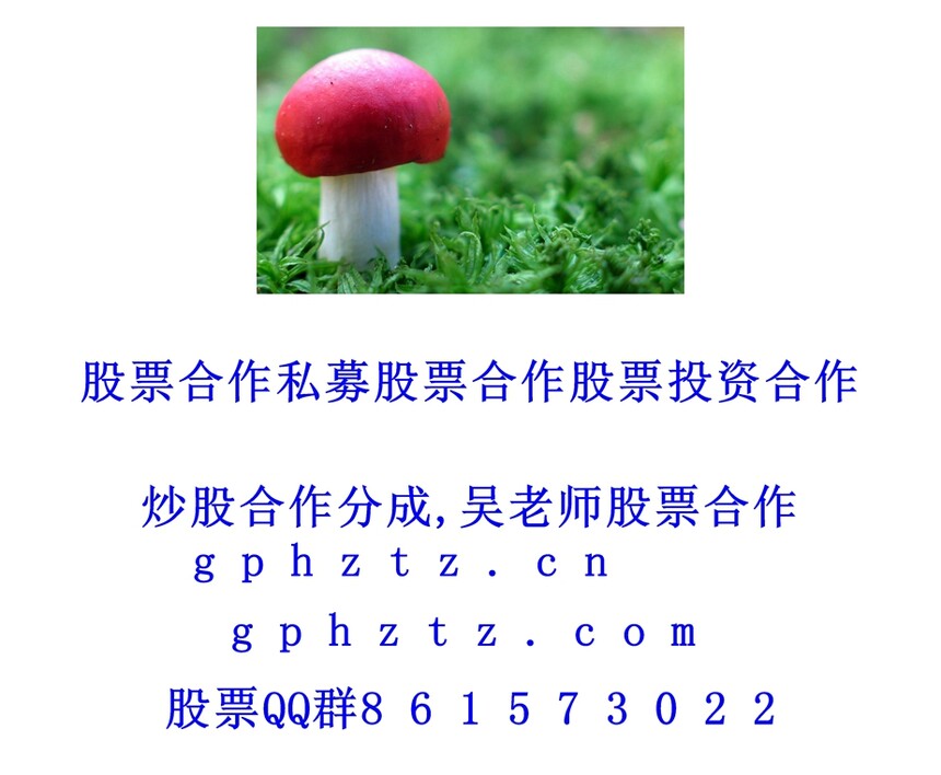 1751120896331547.jpg