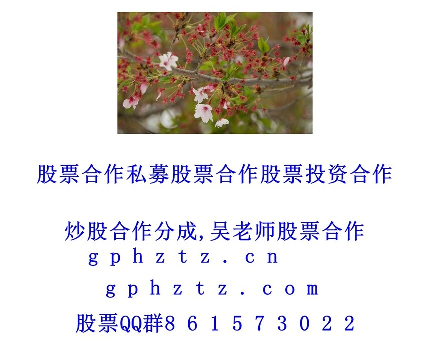 1751120900445608.jpg