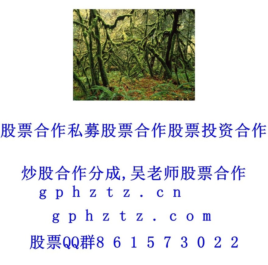 1751120920972036.jpg