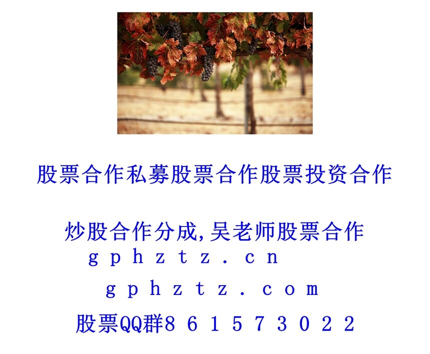 1751191091210934.jpg