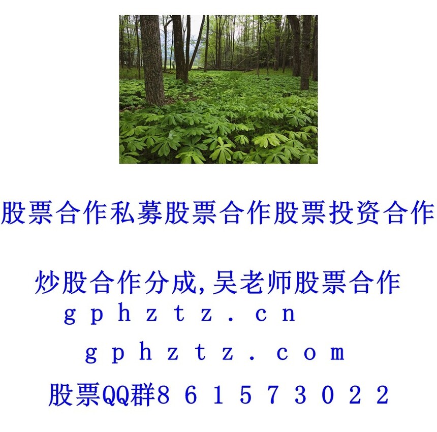 1751191094883426.jpg