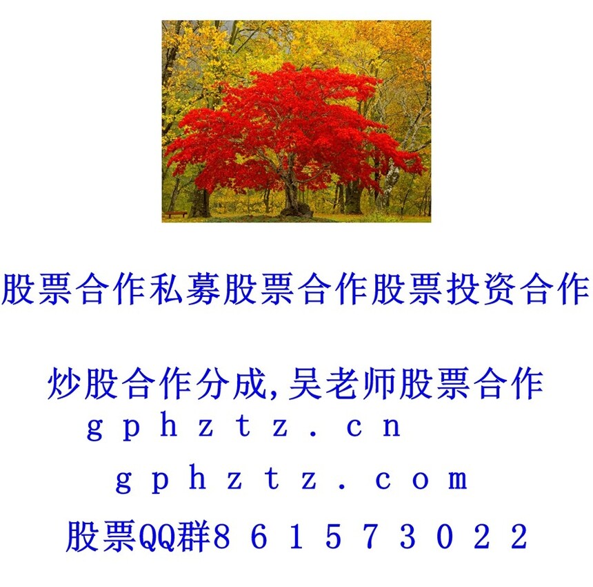 1751195402135722.jpg