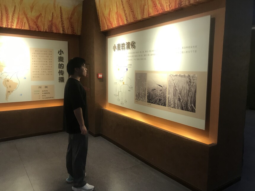 ͼ1 С���ݻ���ʷ.jpg