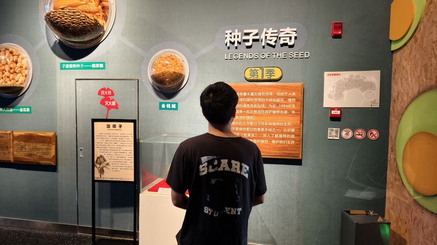 ͼ2 ���ӵĹ���.jpg