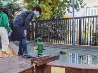 ˮϵ