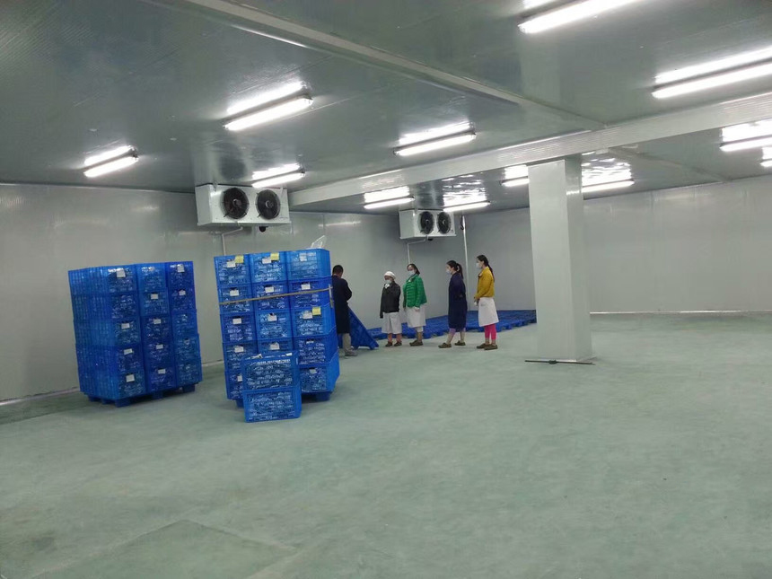 100吨冷库需要多大面积和投资