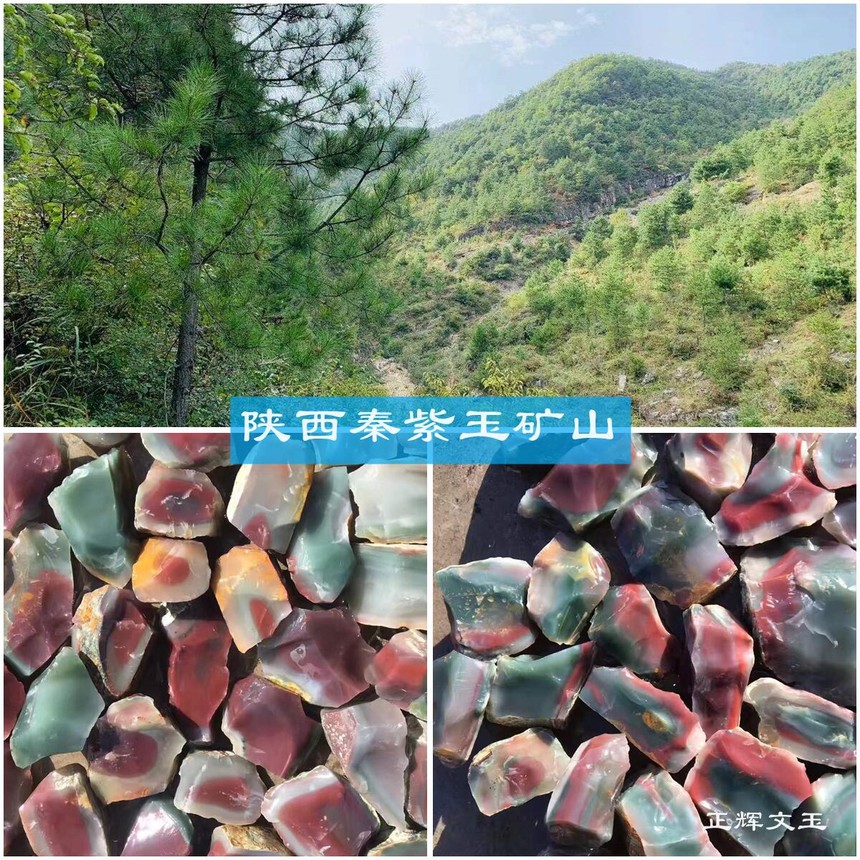 qinziyuxincheng.jpg