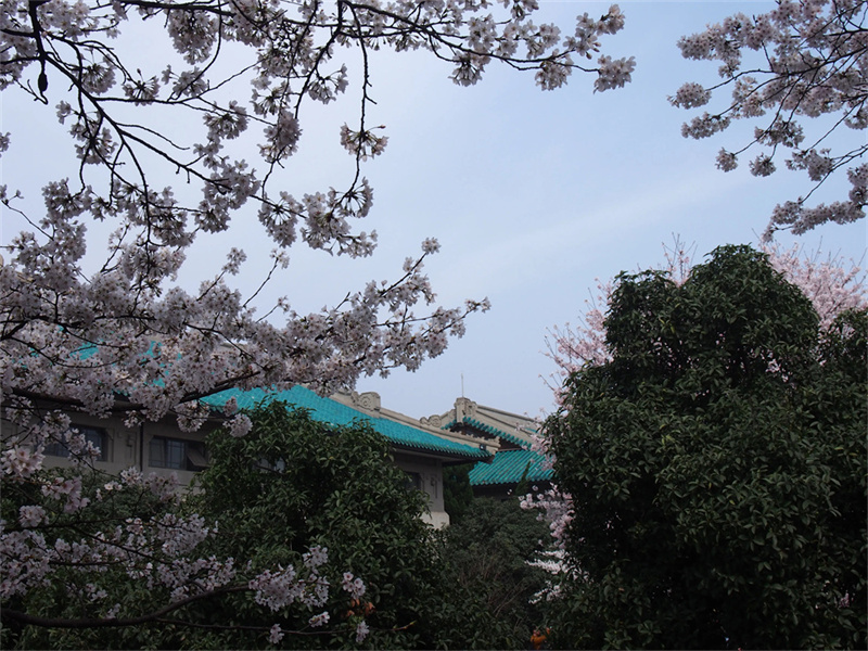 _湘潭云龙复读学校_湘潭云龙中学复读班