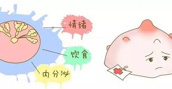u=1912262655,2339398855undefinedfm=26undefinedgp=0.jpg