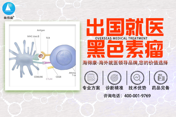 1589963981929483.png 17黑色素瘤.png