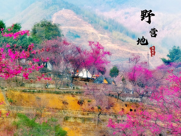 1611896168501743.jpg 微信图片_20210125144803.jpg
