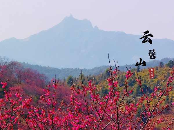 1611896214210704.jpg 微信图片_20210125121126.jpg