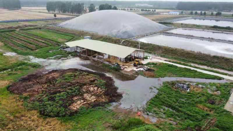 【案例】汝南某畜禽养殖 企业违反固体废物污染环境违法案件_驻马店市