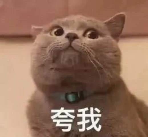 11.png