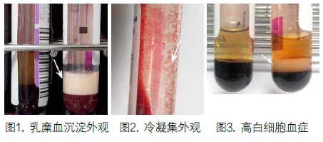 1619752104401599.png image.png