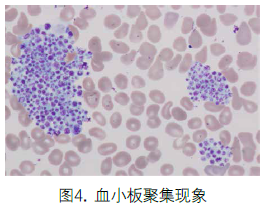 1619752120431620.png image.png