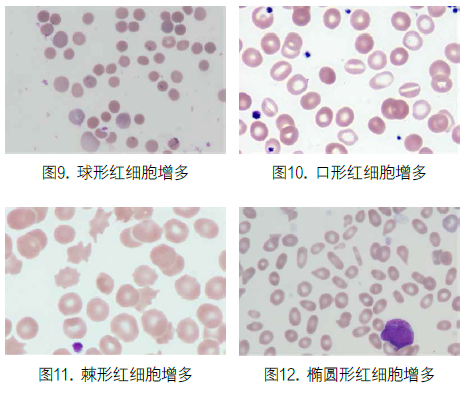 1619752203351303.png image.png
