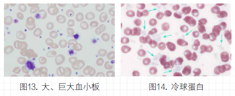 1619752231209469.png image.png