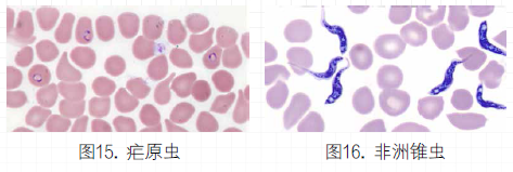 1619752245418813.png image.png