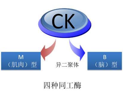 1622166110300754.png image.png