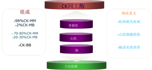 1622166122566625.png image.png