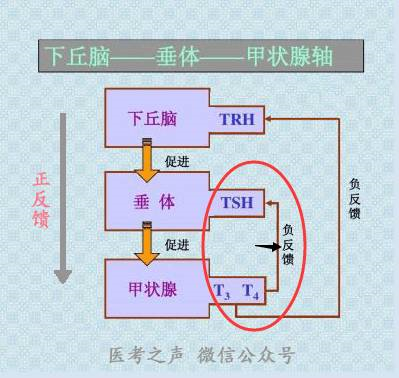 1624064353293585.png image.png