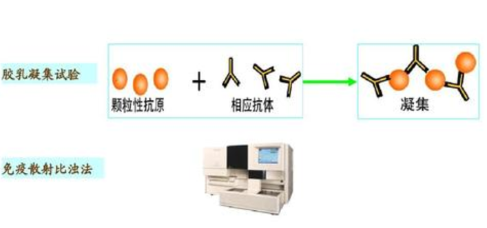 1627634675944277.png image.png