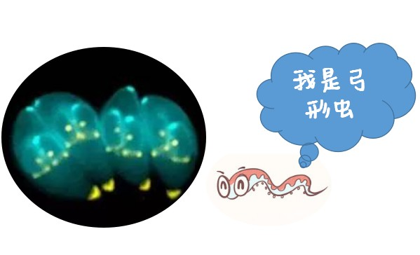 1636443823341362.png image.png