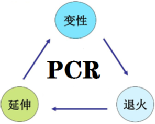 1637045099500817.png image.png
