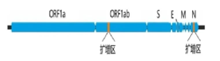 1637045112995775.png image.png