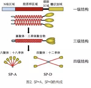1642641797488055.jpg 2.jpg