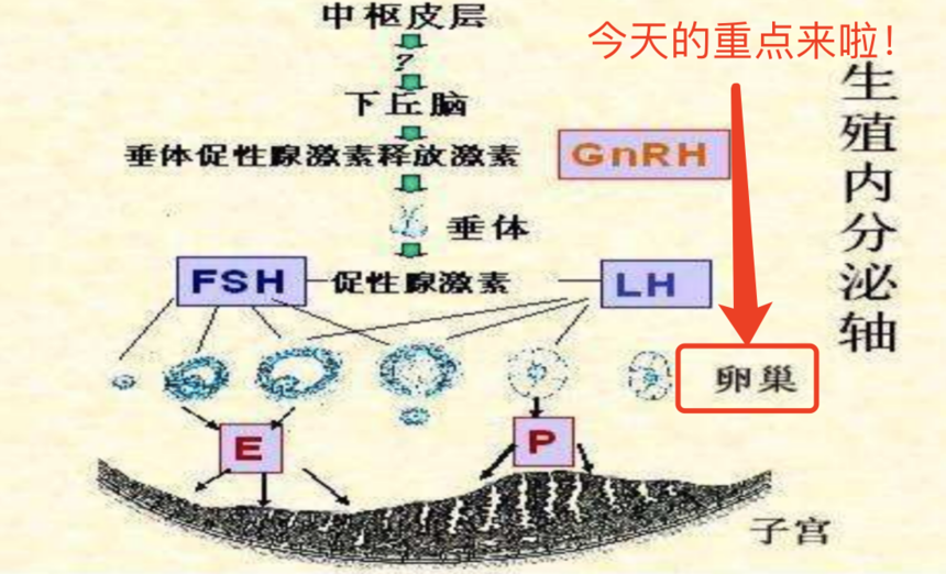 1642909183719325.png 4.png