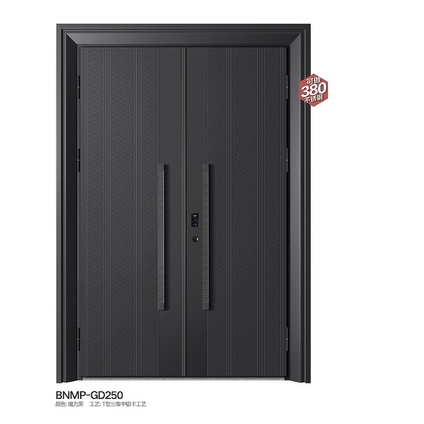 BNMP-GD250.jpg