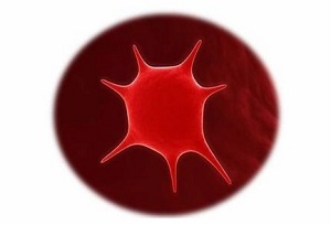 u=1916494706,3149879635undefinedfm=11undefinedgp=0.jpg