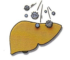 u=4006587832,3444339106undefinedfm=26undefinedgp=0.jpg