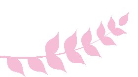 u=4232586384,1382408463undefinedfm=11undefinedgp=0.jpg