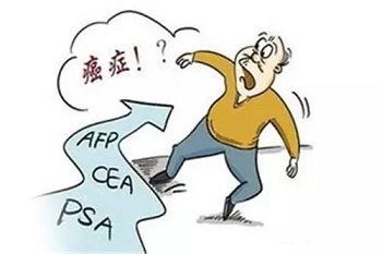 u=626598028,58415103undefinedfm=26undefinedgp=0.jpg