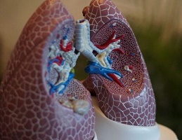 src=http___www.emergency-live.com_wp-content_uploads_2020_05_Retevmo-fda-pulmonary-thyroid-carcinoma-cancer-lungs-treatment.jpg&refer=http___www.emergency-live.jpg