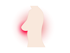 breast-g369bd133c_1920.png