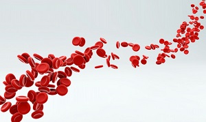 red-blood-cells-flowing-through-artery_150973-120.jpg