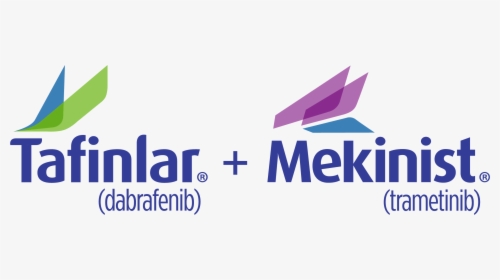 331-3315348_tafinlar-mekinist-logo-hd-png-download.png