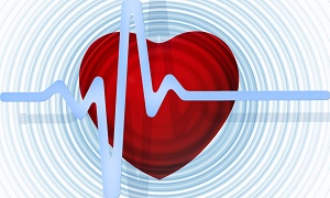 heart-gdbfe64e9f_1920.jpg