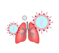 coronavirus-4844592_640.jpg