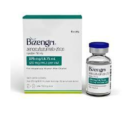 Bizengri泽妥珠单抗.png