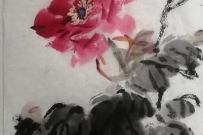 微信圖片_20220802093742