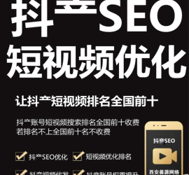 抖短视频seo 指定关键词排名前十