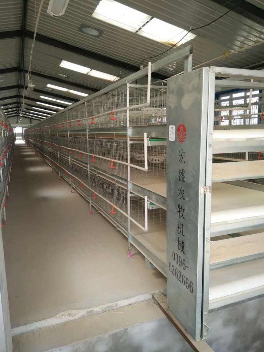 自动化设备,节约人工成本,实现鸽舍全自动化管理; 根据鸽子的生活习性