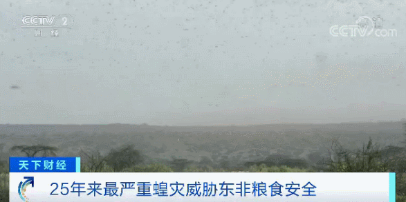 ΢ͼƬ_20200213113157.gif