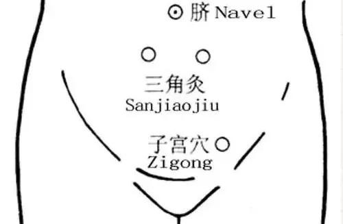 1581601077667050.jpg 114.jpg