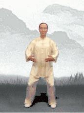 4.gif